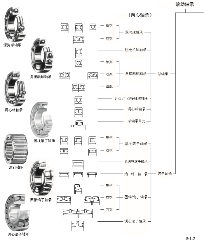 3e420de8fbdd4411a153693705442427.png